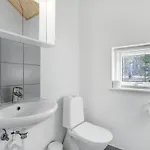 Rubinsoen Skovhuse Hasle