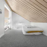 Feriehus Rubinsoen Skovhuse Hasle